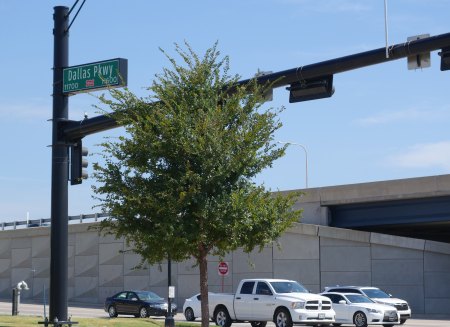 Welcome to Frisco Sign